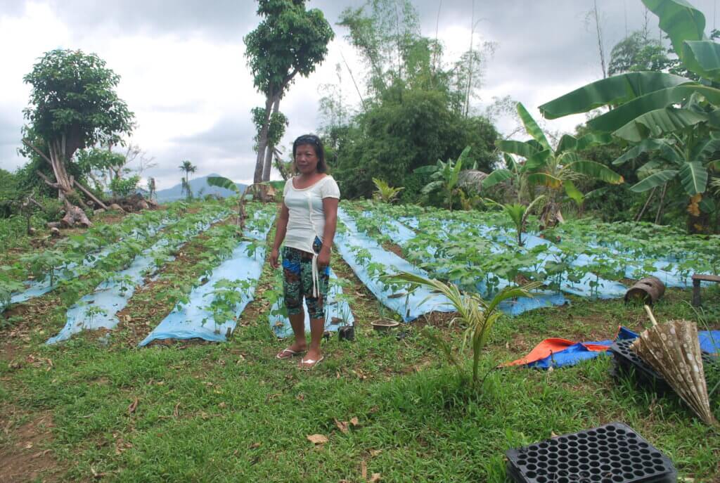 Helping Child Brides