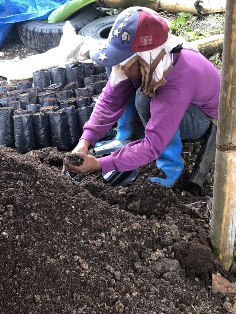 Women Led Agroforestry Project